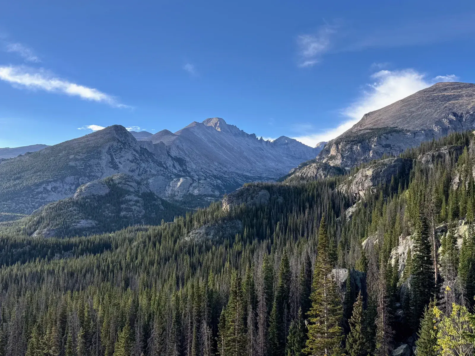 Rocky peaks and a pine-covered valley beneath a blue sky in Rocky Mountain National Park