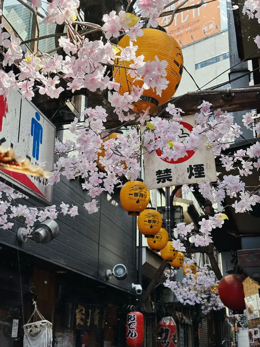 Illuminated lanterns in Tokyo